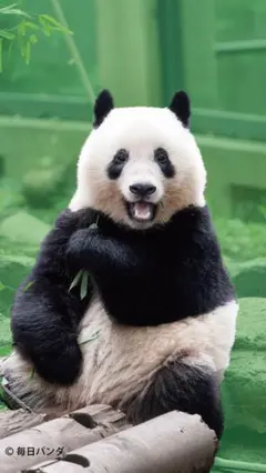 送料