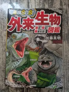 Item thumbnail for item 441bbcf6-38ce-4a09-b70d-fa9d7a450ce8