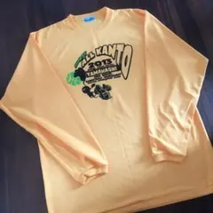 TeamFive ALL KANTO ロングＴシャツ 4L