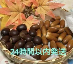 どんぐりミックス　　30個