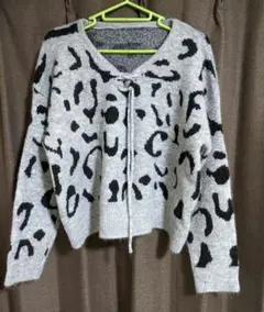 Item thumbnail for item deedc851-737f-4875-b2d1-4adf10189cfd