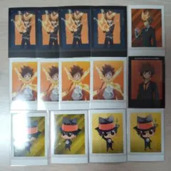 沢田綱吉　リボーン　ぱしゃこれ　14枚セット