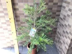 immk様 リクエスト 2点 まとめ商品