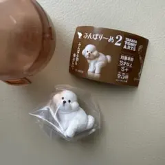 ふんばりーぬ2 ふんばり〜ぬ2 ビションフリーゼ