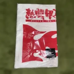MIZUNO 熱闘甲子園 フェイスタオル