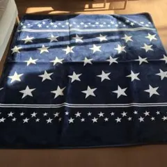 カーペット ラグ インテリア