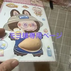 モヨ様専用ページ　16パックと