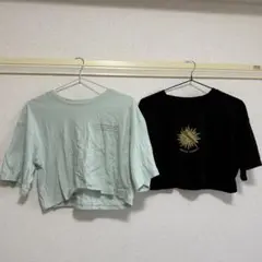 クロップド丈Tシャツ