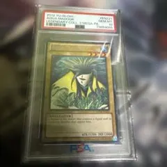 アクア・マドール LB-26 PSA10 - メルカリ
