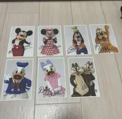 ディズニー　ディズニーポストカード　実写ポストカード　ミッキー　ミニー