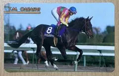 【美品】まねき馬カード No.252 テイエムオオアラシ号