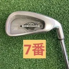 Item thumbnail for item 568909ef-3314-4896-8a2a-0d69b2c45b47