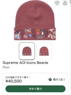 2025年最新】aoi icons beanieの人気アイテム - メルカリ