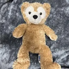 WDWディズニーベア アメリカ ダッフィー duffy ぬいぐるみ - メルカリ