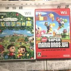 どうぶつの森 & NEW SUPER MARIO BROS. Wii