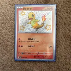 ⭐*⭐様 ヒトカゲ S 210/190