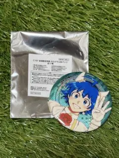 AnimeJapan2026 AJガチャ 缶バッジ 早乙女らんま ホロ - メルカリ