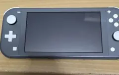 Switch Lite グレー 本体&充電器