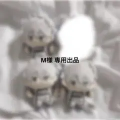 専用出品