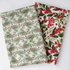 Item thumbnail for item 0869bc97-6df2-45de-9120-30925499c957