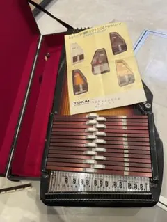 2025年最新】クロマハープの人気アイテム - メルカリ