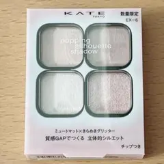 KATE ポッピングシルエットシャドウ　EX-6