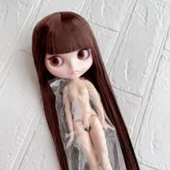 2026年最新】カスタムアイシードールの人気アイテム - メルカリ