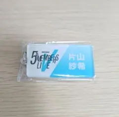 日向坂46 五期生 5MEMBERS LIVE ネームキーホルダー コンプ 日向坂46 五期生 5MEMBERS LIVE ネームキーホルダー コンプ - メルカリ