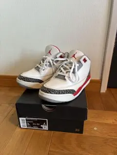 Nike Air Jordan 3 Retro 3Y 22センチ