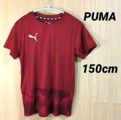 PUMA✨ レッド Tシャツ裾グラデーションデザイン150cm