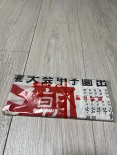 甲子園 記念グッズ