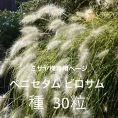 ミサヤ様専用ページ 1穂