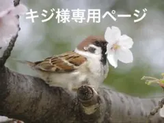 ご依頼主様　専用ページ