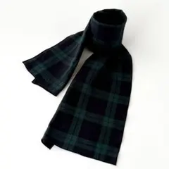 Item thumbnail for item 373df195-59bf-4c4d-9646-6a16de64fb03