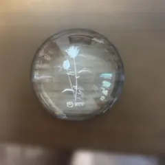 Item thumbnail for item 249a6861-54b9-45e1-b2e2-72132f5769d7