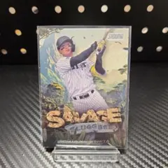 Item thumbnail for item 8d015122-5b55-4a10-ac11-b15d0df6cb95