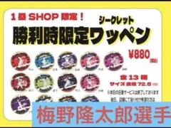 阪神タイガース　2025勝利時限定ワッペン　梅野隆太郎選手