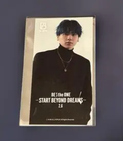 Item thumbnail for item 3dfb6ef1-6951-4009-abe1-3a56536139a8