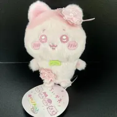 ちいかわ ぬいぱれっと　さくらいろ　マスコット① ハチワレ