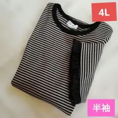 ❴4L❵　myuwa 　田中里奈　カットソー　テレコ　ボーダー　ブラック