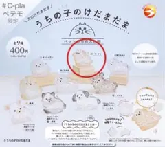 うちの子けだまだま　犬　ガチャ　プードル