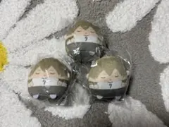 ハイキュー！！ ぬいくじ E賞 てのりんずコレクション 木葉秋紀