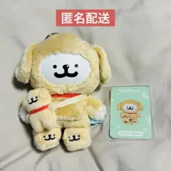 MALTESE ぬいぐるみ マスコット Sea salt baby - メルカリ