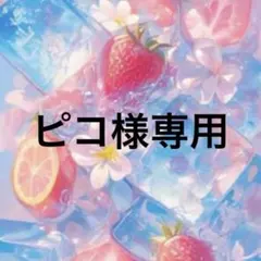 ピコ様専用