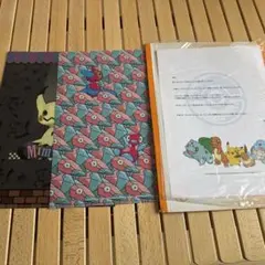 ポケモンクリアファイル2枚　非売品