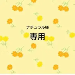 専用　ナチュラル様おまとめ品