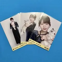 97枚（32コンプ）まとめ売り 岡本姫奈 乃木坂46 メルカリ - 4コンプセット 岡本姫奈 生写真 乃木坂46 生写真 アイドル