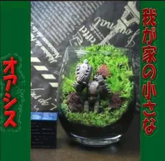 苔テラリウム シングル、ダブル、トリプル ロボット兵 心癒す我が家の