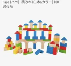 Hape 木製 積み木 白木＆カラー　100ピースのサムネイル