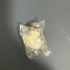 うちの子のけだまだま 犬 【柴犬】